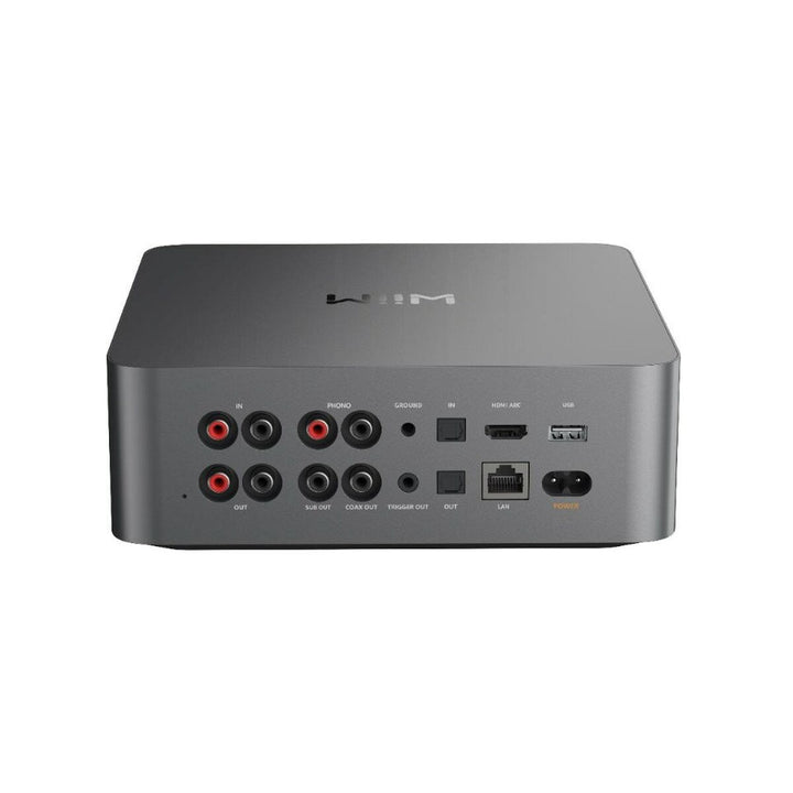 Amplifier Wiim 806110-1