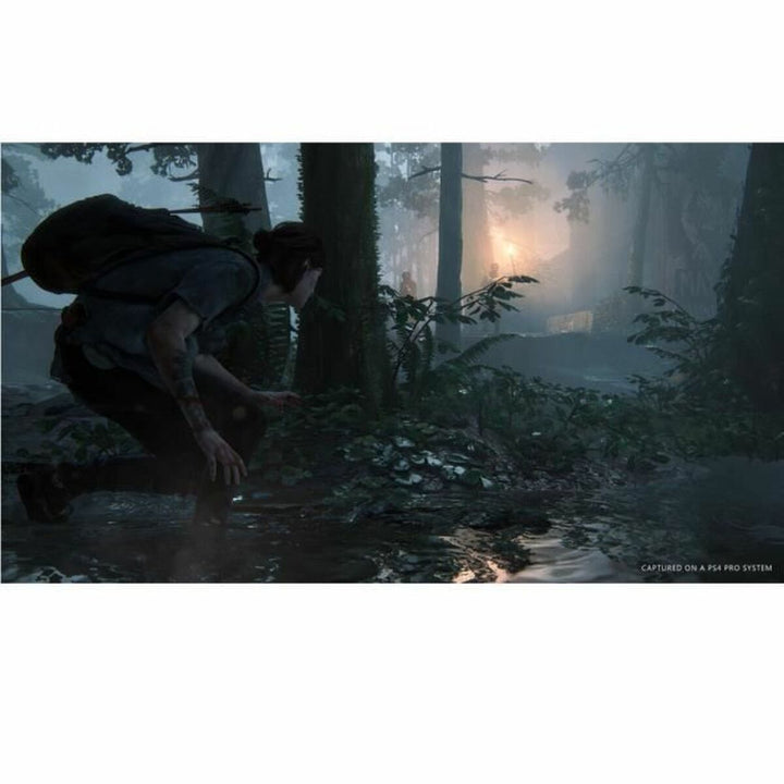 PlayStation 4 Video Game Naughty Dog The Last of Us: Part 2-5