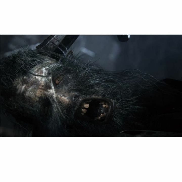 PlayStation 4 Video Game Sony Bloodborne PlayStation Hits-4