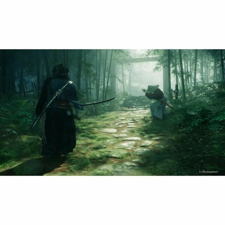 PlayStation 5 Video Game Sony Rise of the Ronin (FR)-4