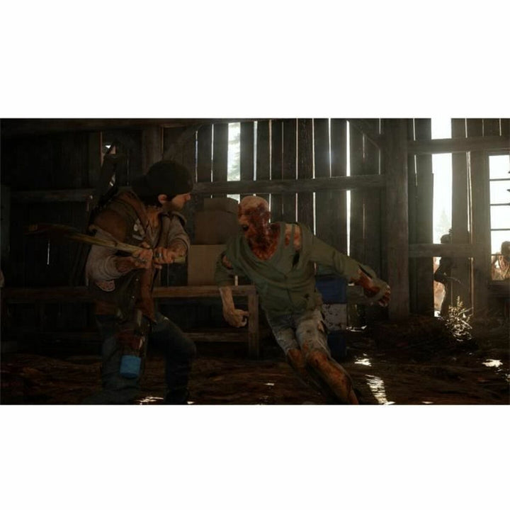 PlayStation 4 Video Game Sony Days Gone-5