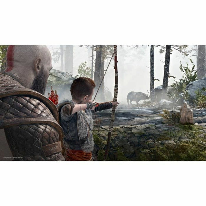 PlayStation 4 Video Game Santa Monica Studio Gof of War Playstation Hits-3