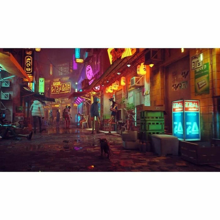Video game for Switch Just For Games Stray-4