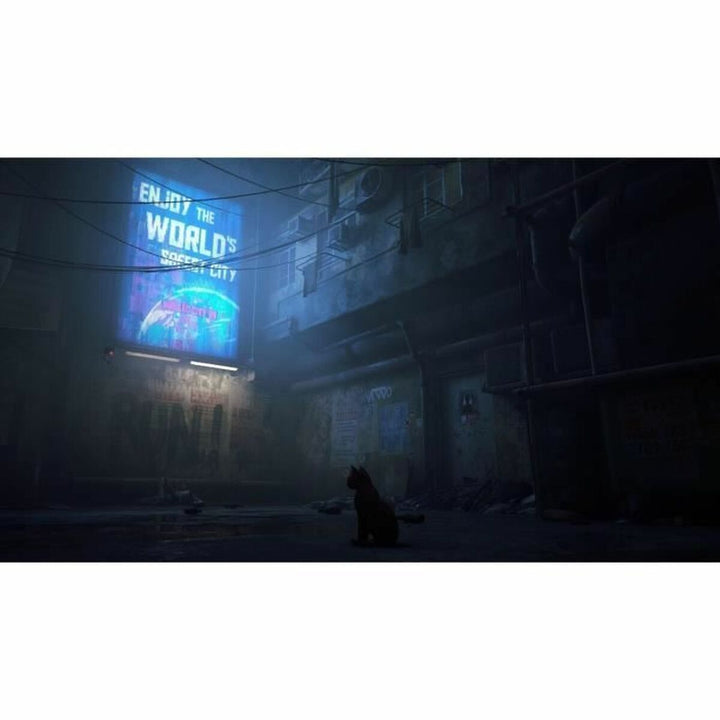 Video game for Switch Just For Games Stray-1