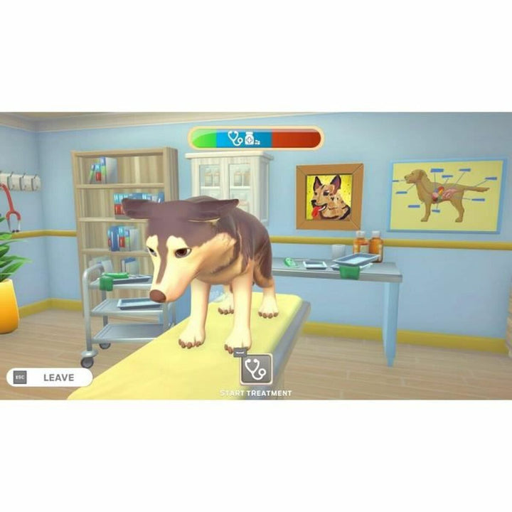 Video game for Switch Microids My Universe: PetClinic Cats & Dogs - Panda Edition-1