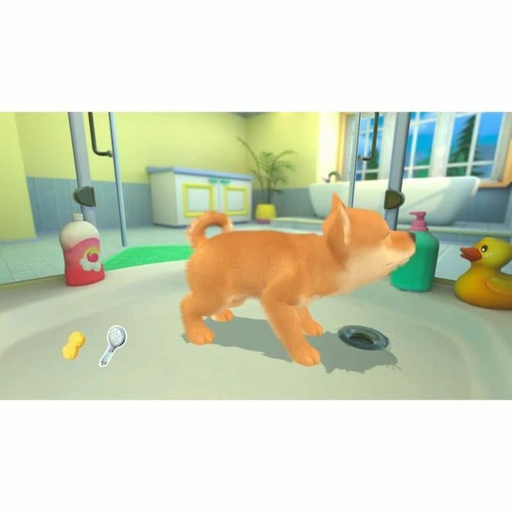 Video game for Switch Microids My Universe : My Baby Collection-1