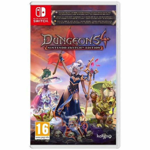 Video game for Switch Microids Dungeons 4-0