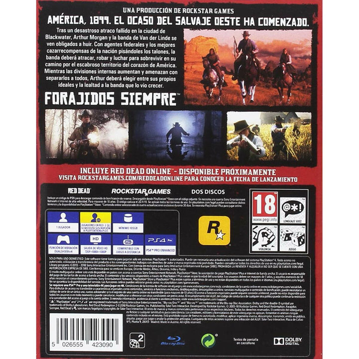 PlayStation 4 Video Game Sony RDR2-1
