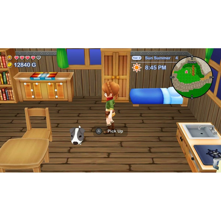 Video game for Switch Just For Games Harvest Moon: The Lost Valley & Skytree Village Collector'S-8