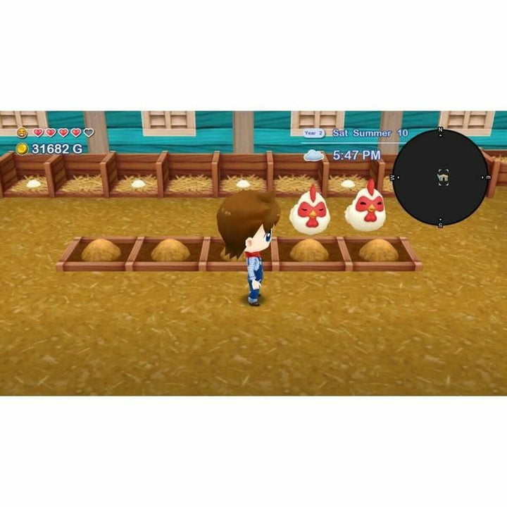 Video game for Switch Just For Games Harvest Moon: The Lost Valley & Skytree Village Collector'S-2