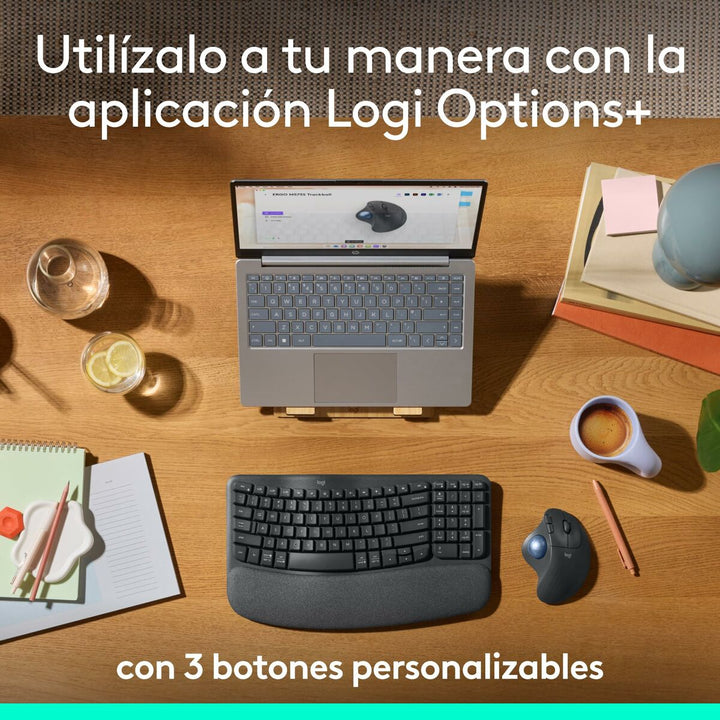 Mouse Logitech 910-007029-5