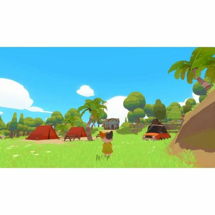 Video game for Switch Microids Petit Island-2